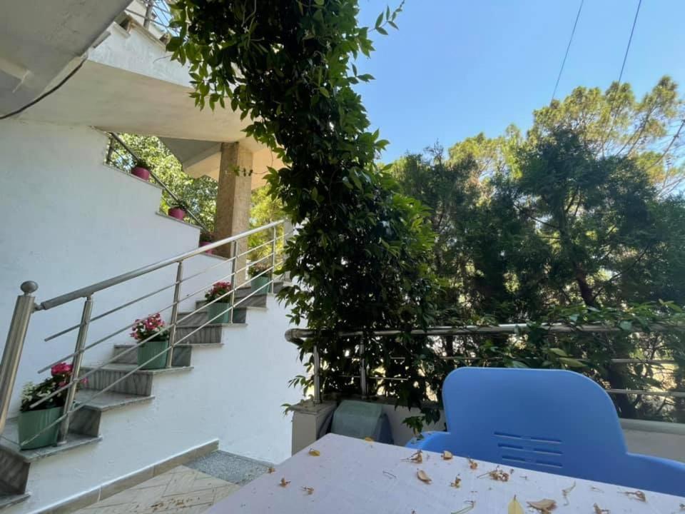 Aparthotel Vila Tufi Velipojë Εξωτερικό φωτογραφία
