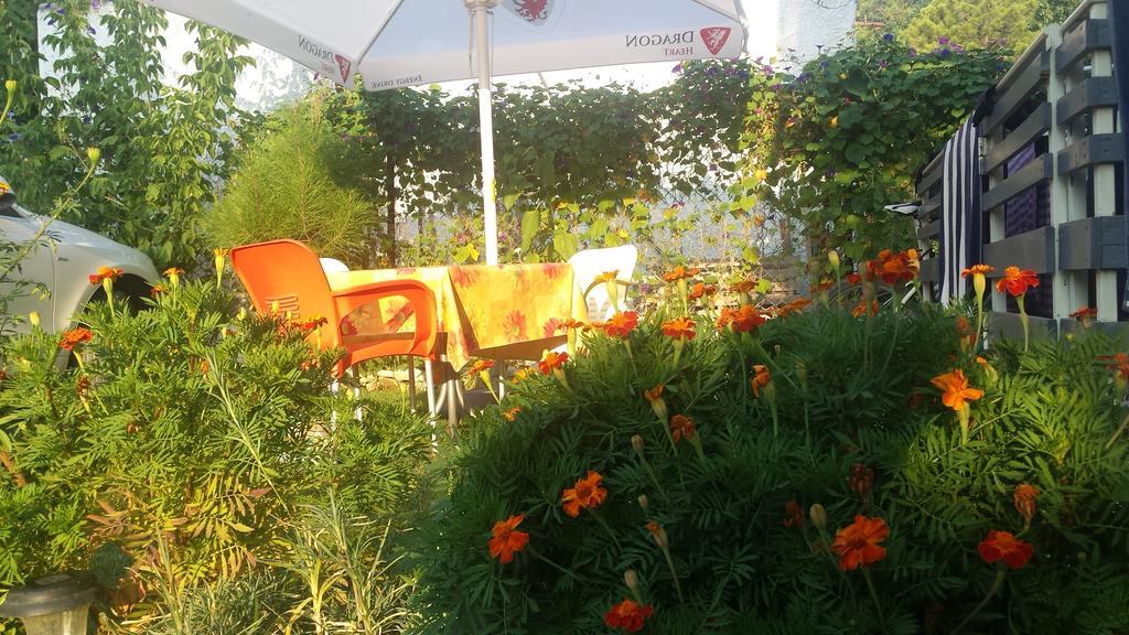 Aparthotel Vila Tufi Velipojë Δωμάτιο φωτογραφία