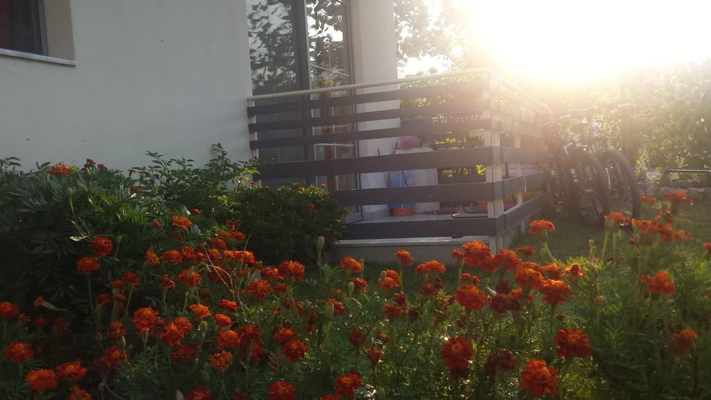 Aparthotel Vila Tufi Velipojë Δωμάτιο φωτογραφία